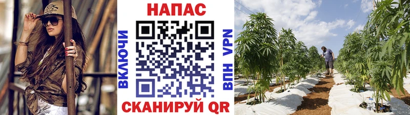 Купить Бошки Шишки МДМА Альфа ПВП Меф ГАШИШ Cocaine Балей