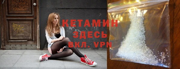 стаф Кодинск
