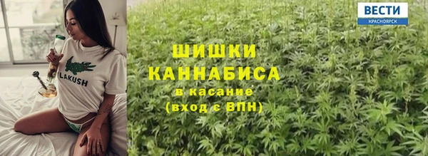 стаф Кодинск