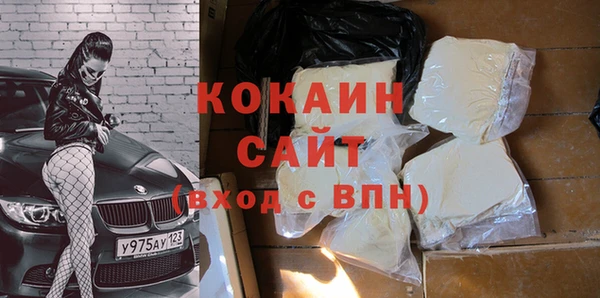 стаф Кодинск